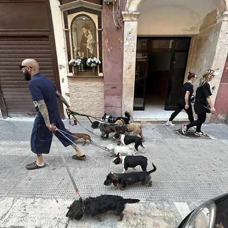 Bella Big For Maximum 8 People With Free Air Conditioner And Balcony *