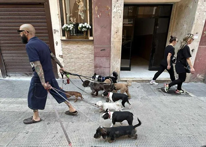 Bella Big For Maximum 8 People With Free Air Conditioner And Balcony *